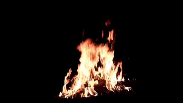 Яркие Языки Открытого Пламени Темноте Лета — стоковое видео