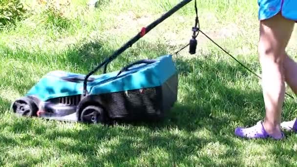 電気芝刈り機で緑の新鮮な芝生の草を刈る — ストック動画