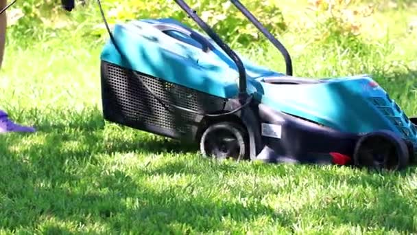 Tondre Herbe Fraîche Verte Avec Une Tondeuse Électrique — Video