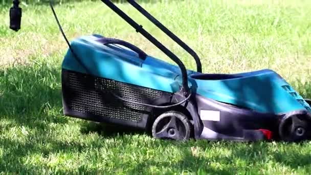 電気芝刈り機で緑の新鮮な芝生の草を刈る — ストック動画
