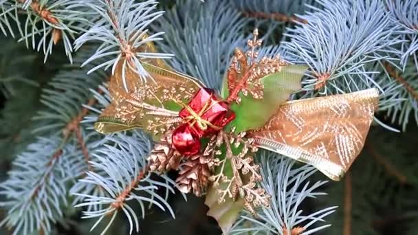 Christmas Ornament Festlig Tall Tröskeln Till Händelse — Stockvideo