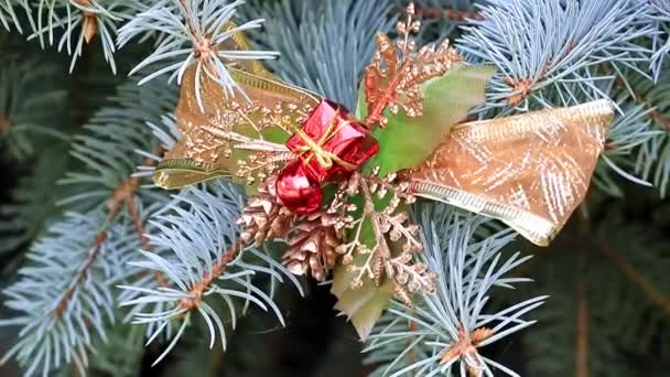 Рождественские Украшения Праздничной Сосне Накануне Мероприятия — стоковое видео