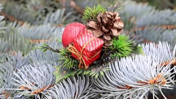 Christmas Ornaments Festive Pine Eve Event — Stock Video