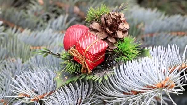 Ornements Noël Sur Pin Festif Veille Événement — Video