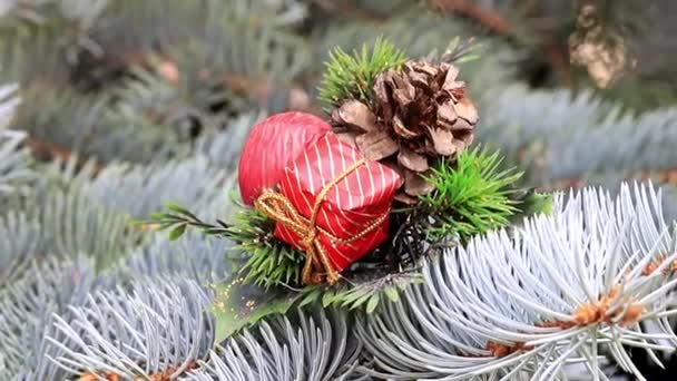 Weihnachtsschmuck Auf Einer Festlichen Kiefer Vorabend Einer Veranstaltung — Stockvideo