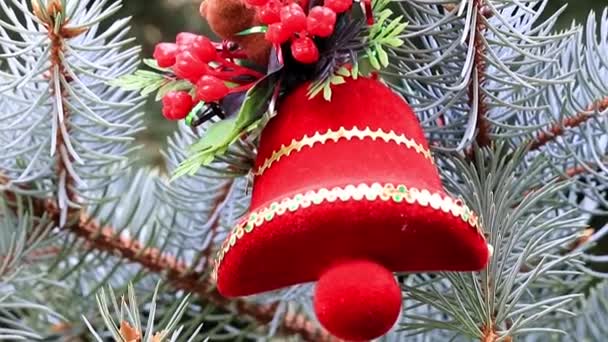 이벤트 직전에 소나무에 크리스마스 장신구 — 비디오