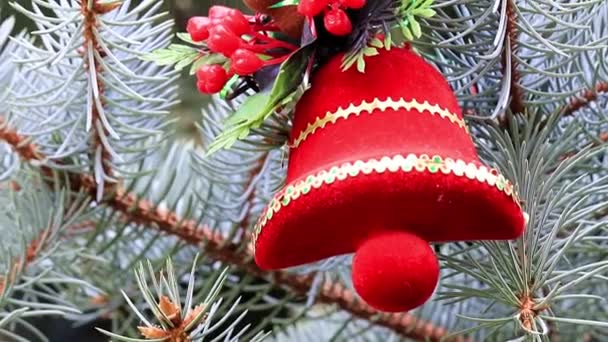 Christmas Ornaments Festive Pine Eve Event — Stock Video