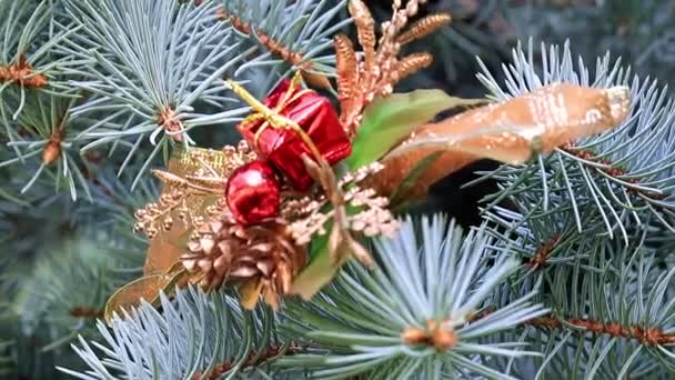 イベントの前夜にお祝い松のクリスマス飾り — ストック動画