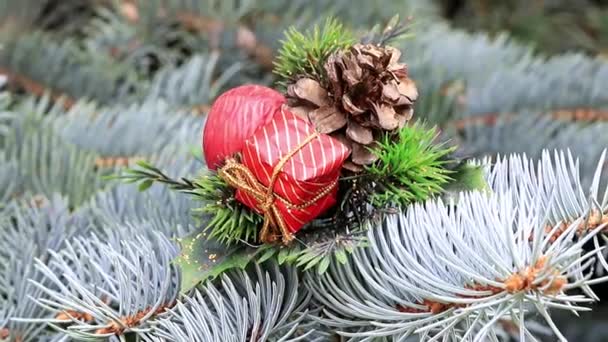 イベントの前夜にお祝い松のクリスマス飾り — ストック動画