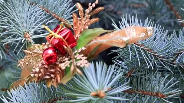 Ornamentos Natal Pinheiro Festivo Véspera Evento — Vídeo de Stock