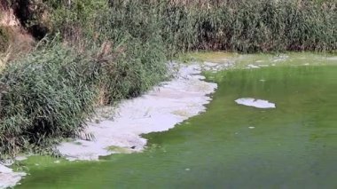 bakteriyel enfeksiyon baraj gölünün yüzeyinde kimyasal elementler dan köpük