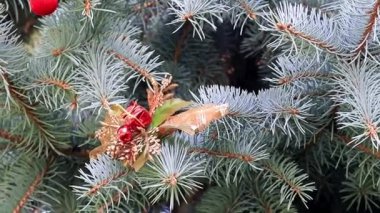 bir tatil dekorasyon olarak Noel ağacının dalları üzerinde oyuncaklar