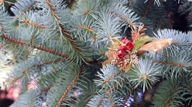 bir tatil dekorasyon olarak Noel ağacının dalları üzerinde oyuncaklar