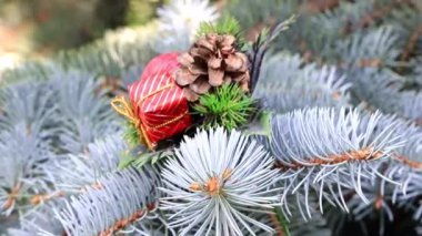 bir tatil dekorasyon olarak Noel ağacının dalları üzerinde oyuncaklar