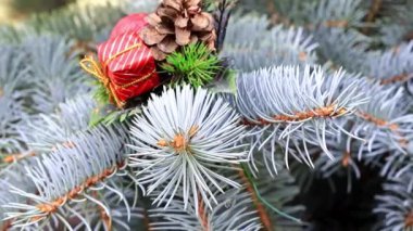 bir tatil dekorasyon olarak Noel ağacının dalları üzerinde oyuncaklar