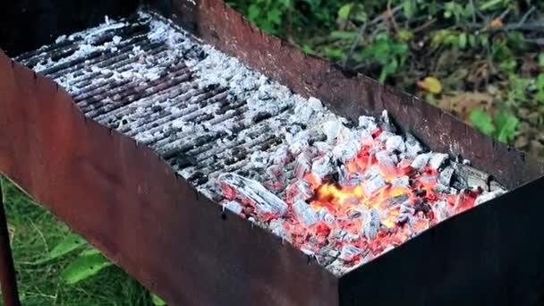 Fogo Brilhante Carvão Vegetal Braseiro — Vídeo de Stock