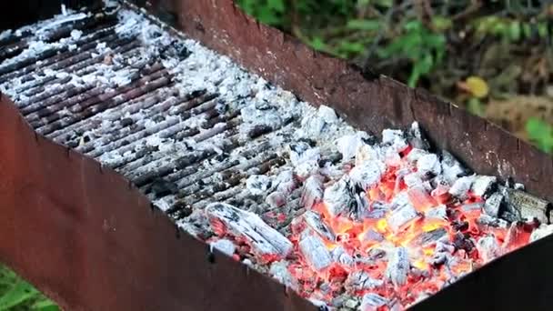 Fuego Brillante Carbón Brasero — Vídeo de stock