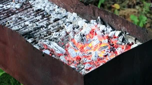 Fuego Brillante Carbón Brasero — Vídeos de Stock