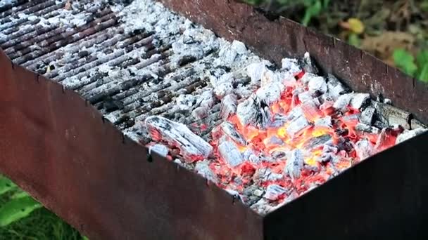 Fuego Brillante Carbón Brasero — Vídeos de Stock