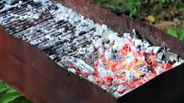 明亮的火和木炭在火盆 — 图库视频影像