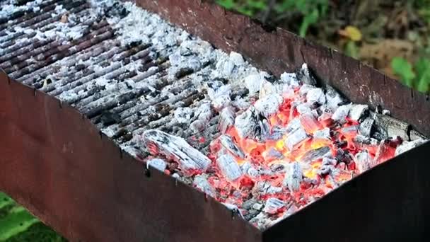 Fuego Brillante Carbón Brasero — Vídeo de stock