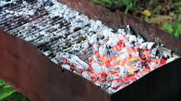 明亮的火和木炭在火盆 — 图库视频影像