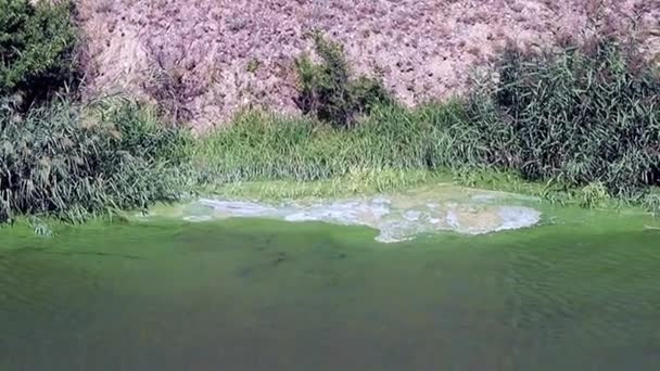 細菌感染から貯水池の表面の化学要素から泡します — ストック動画