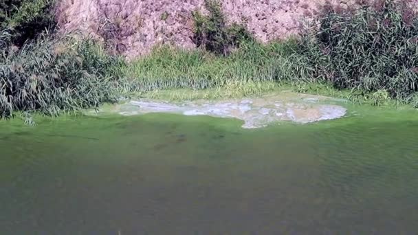 Schaum Aus Chemischen Elementen Auf Der Oberfläche Des Reservoirs Vor — Stockvideo