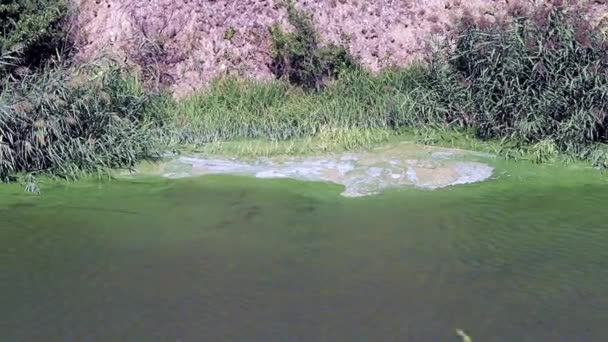 Schuim Van Chemische Elementen Het Oppervlak Van Het Reservoir Van — Stockvideo