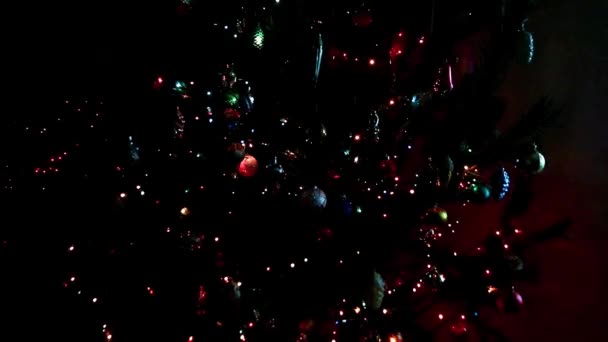 Noel Ağacı Süslemeleri Ile Şenlikli Aydınlatma Için Havva — Stok video