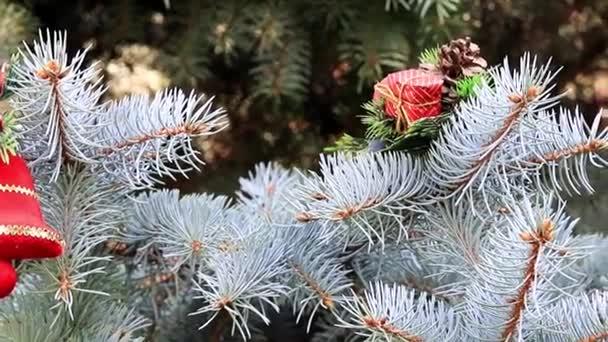 Juguetes Las Ramas Árbol Navidad Como Decoración Navideña — Vídeo de stock