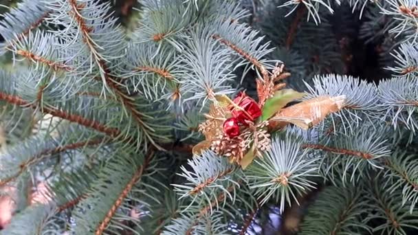 Speelgoed Takken Van Een Kerstboom Als Vakantie Decoratie — Stockvideo