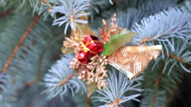 Speelgoed Takken Van Een Kerstboom Als Vakantie Decoratie — Stockvideo