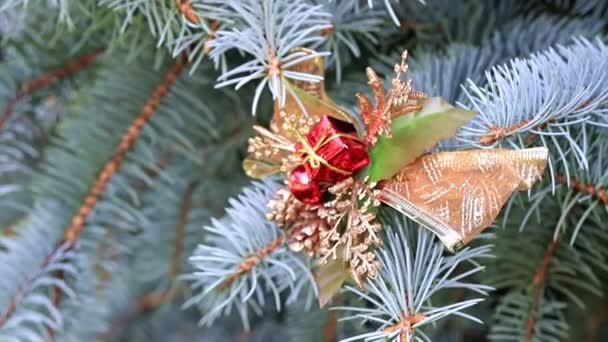 休日の装飾としてクリスマス ツリーの枝のおもちゃ — ストック動画