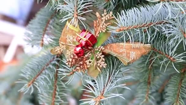 Ágak Egy Karácsonyfa Mint Egy Nyaralás Dekoráció Játékok — Stock videók