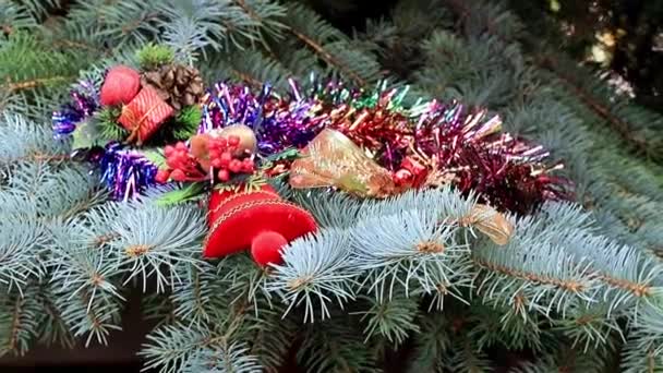 Juguetes Las Ramas Árbol Navidad Como Decoración Navideña — Vídeo de stock