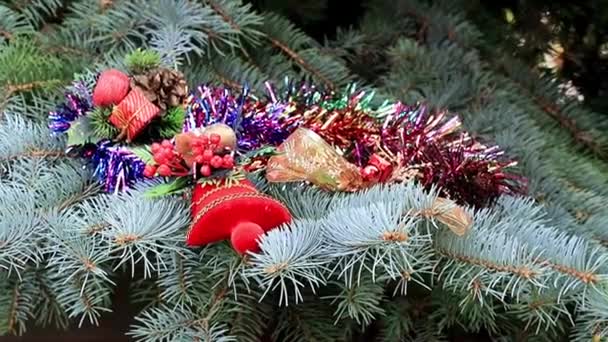 Juguetes Las Ramas Árbol Navidad Como Decoración Navideña — Vídeo de stock