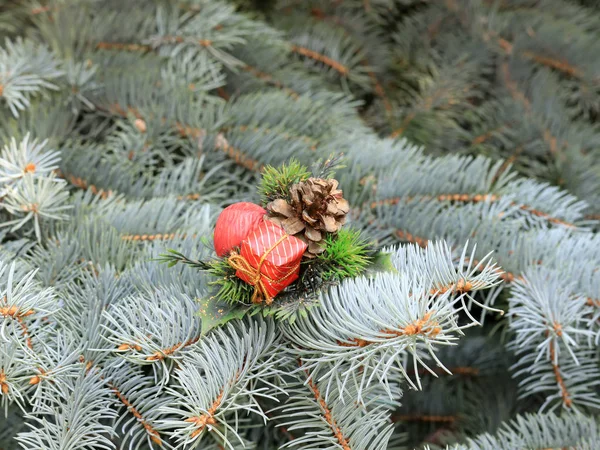 圣诞装饰品在一个美丽的活云杉的树枝期待的事件 — 图库照片
