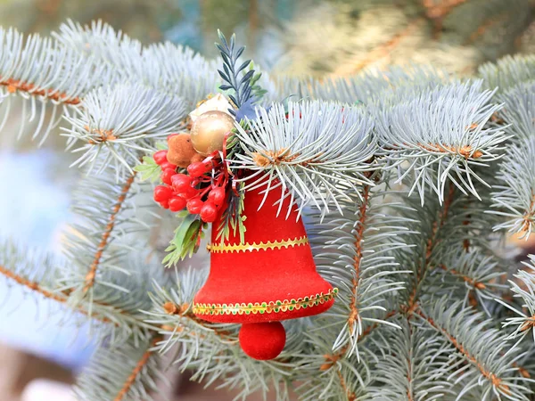 Décorations Noël Sur Les Branches Une Belle Épinette Vivante Prévision — Photo