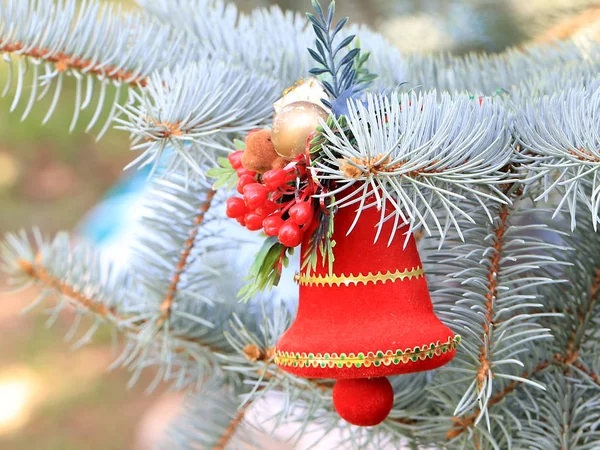 Décorations Noël Sur Les Branches Une Belle Épinette Vivante Prévision — Photo