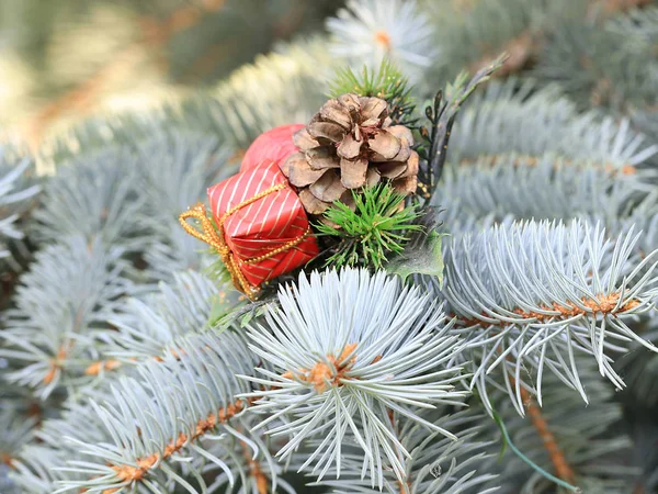 Decorações Natal Nos Ramos Belo Abeto Vivo Antecipação Evento — Fotografia de Stock