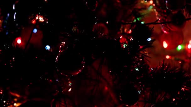 Świąteczne Oświetlenie Kwiecisty Sosny Prawdziwe Sylwestrowe Przeddzień Bożego Narodzenia — Wideo stockowe