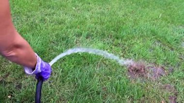 bir güçlü su jeti ile taze yeşil çim yağmurlama