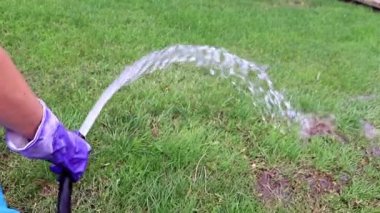 bir güçlü su jeti ile taze yeşil çim yağmurlama