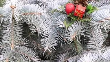 Noel oyuncaklar dallar bir yaşam ağacı bir tatil dekorasyon olarak çam.