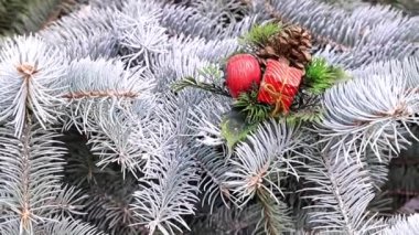 Noel oyuncaklar dallar bir yaşam ağacı bir tatil dekorasyon olarak çam.