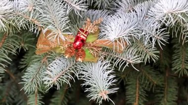 Noel oyuncaklar dallar bir yaşam ağacı bir tatil dekorasyon olarak çam.