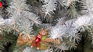 Noel oyuncaklar dallar bir yaşam ağacı bir tatil dekorasyon olarak çam.