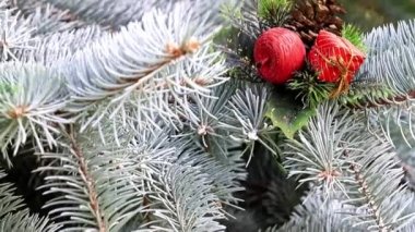 Noel oyuncaklar dallar bir yaşam ağacı bir tatil dekorasyon olarak çam.