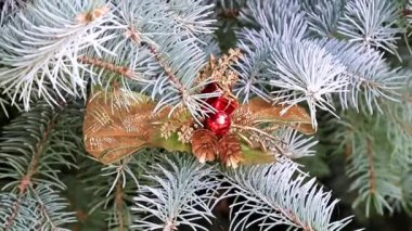 Noel oyuncaklar dallar bir yaşam ağacı bir tatil dekorasyon olarak çam.